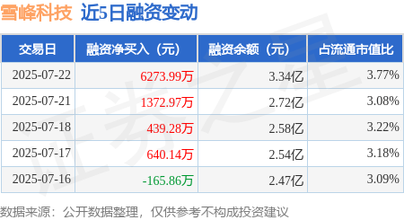 泓利财富 雪峰科技：7月22日融资净买入6273.99万元，连续3日累计净买入8086.25万元
