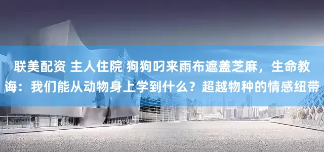 联美配资 主人住院 狗狗叼来雨布遮盖芝麻，生命教诲：我们能从动物身上学到什么？超越物种的情感纽带